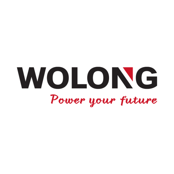 Wolong Electri America